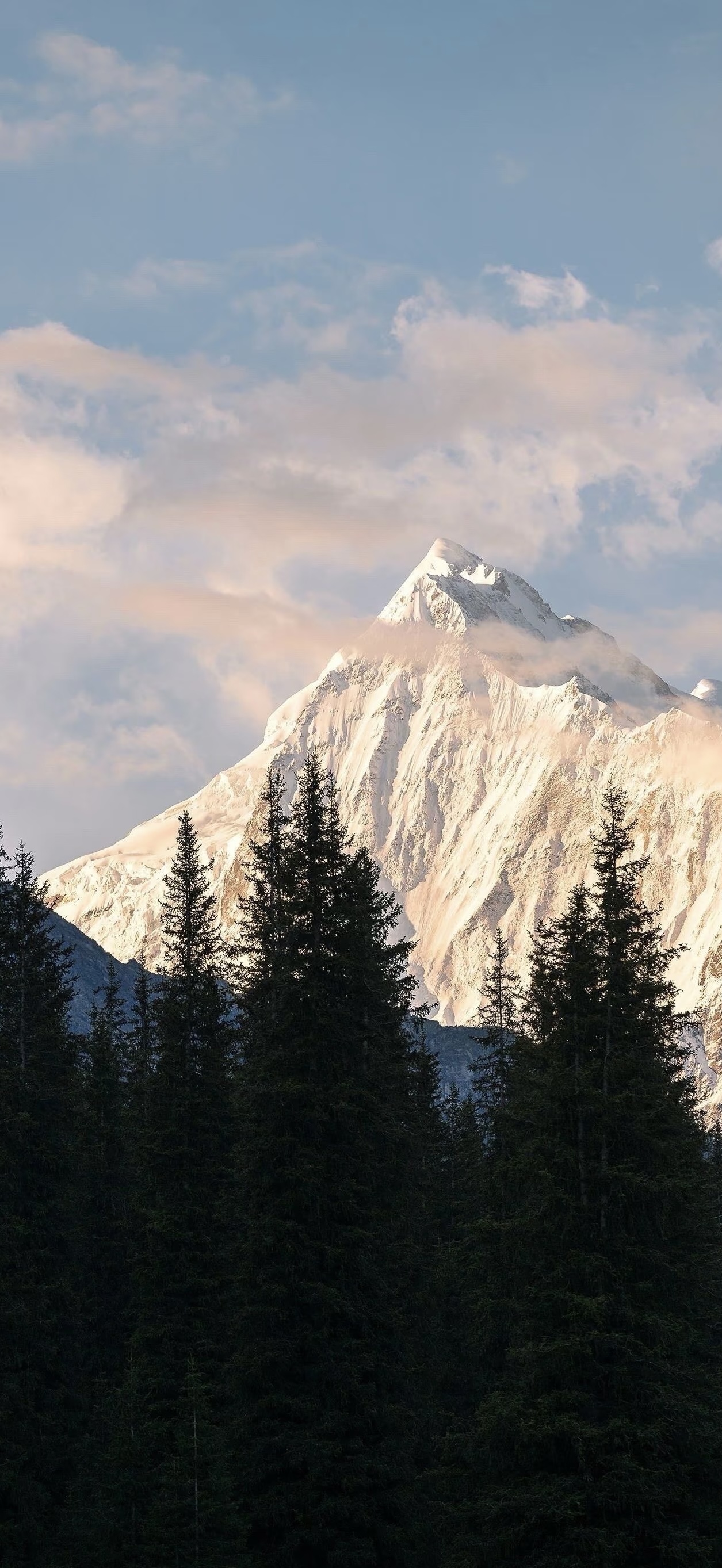 Best Fall Wallpaper 2025 for iOS